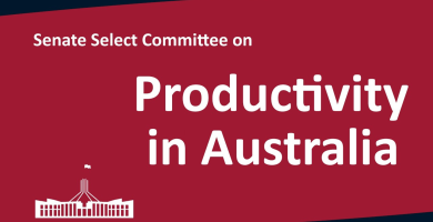 Senate Select Committee on Productivity in Australia